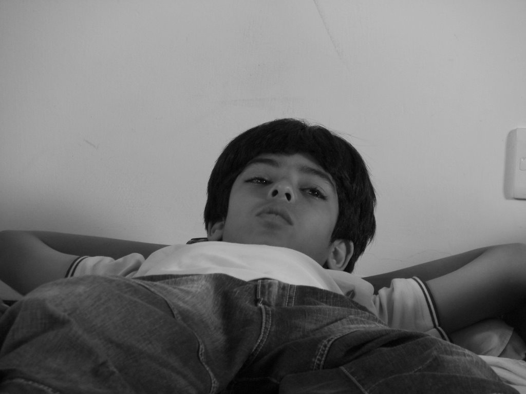 Picasa 2.7