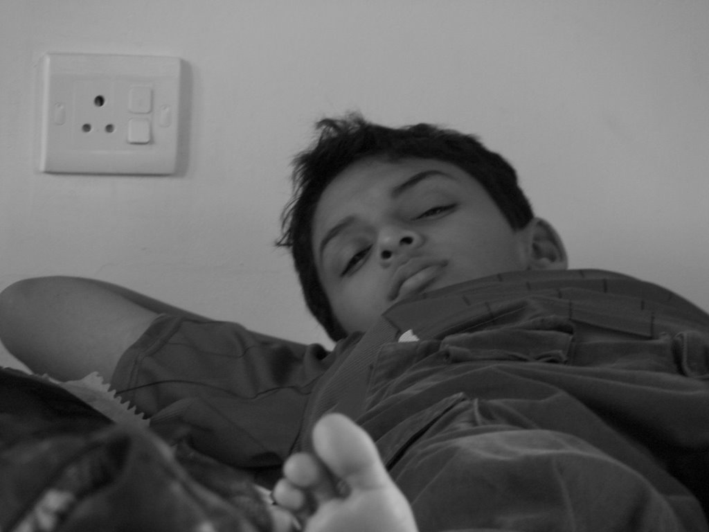 Picasa 2.7