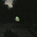 Previous image