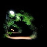Picasa 2.7