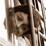 Picasa 2.7