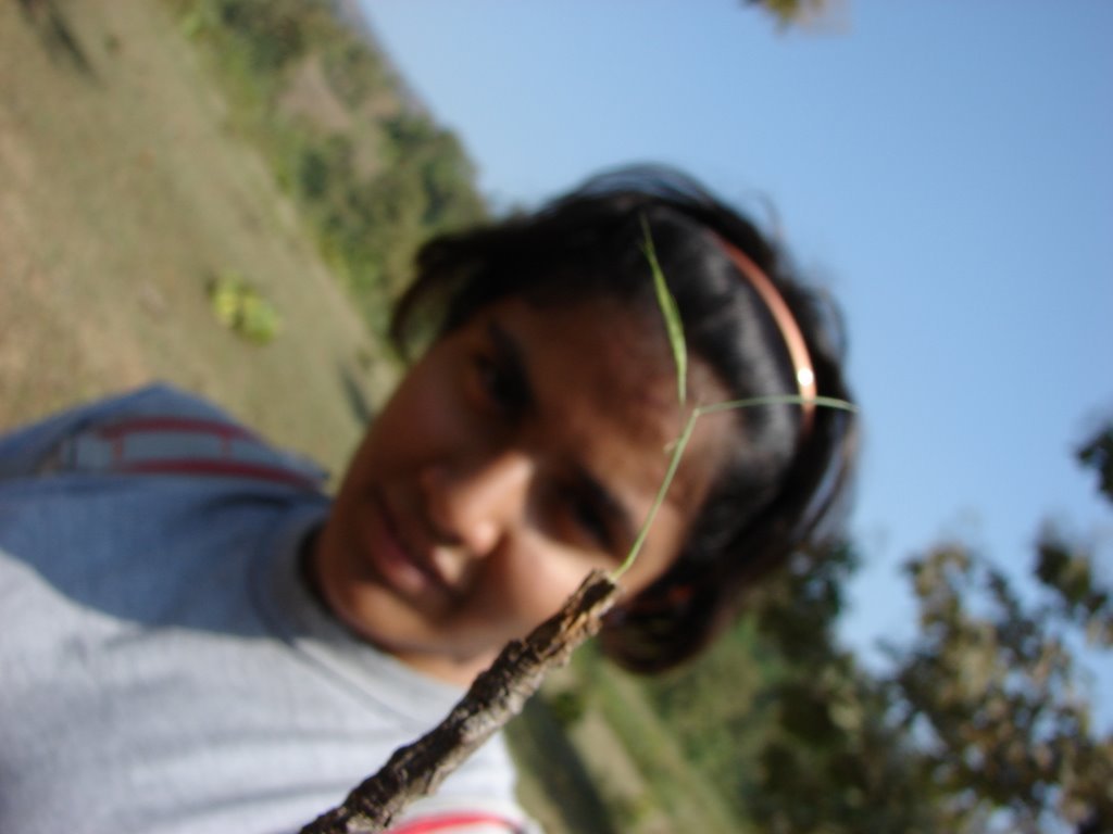 Picasa 3.0