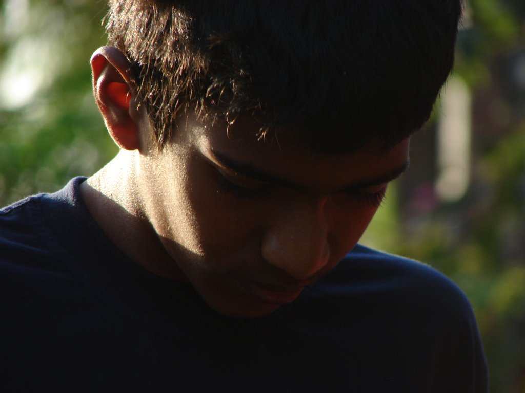 Picasa 3.0