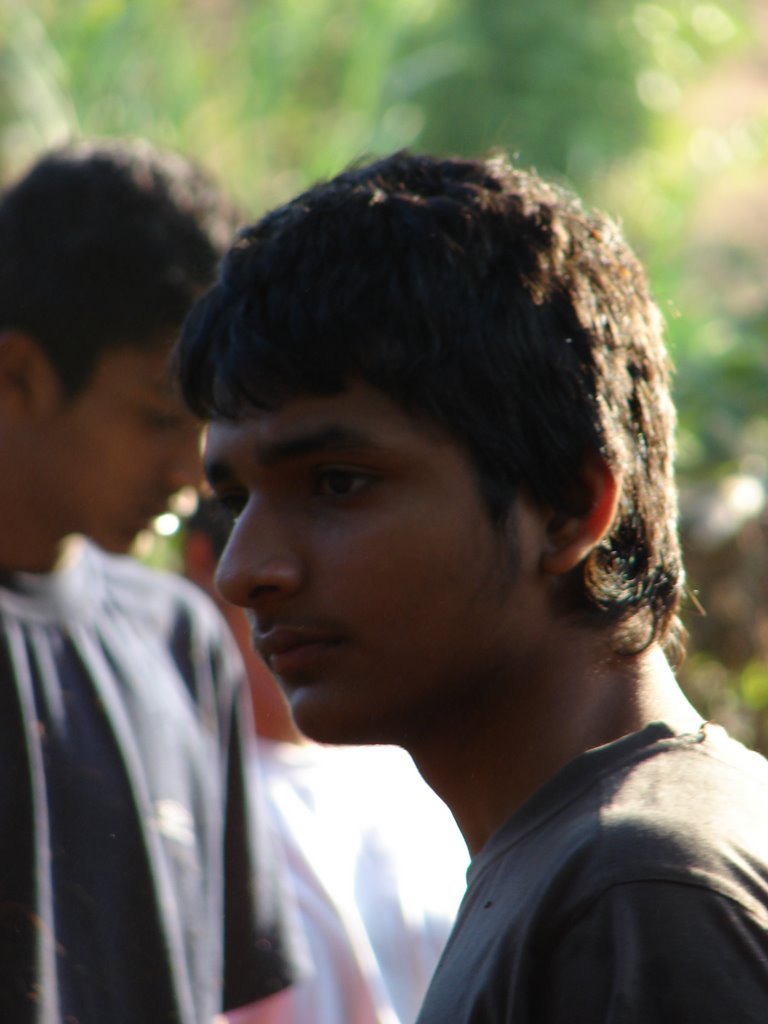 Picasa 3.0
