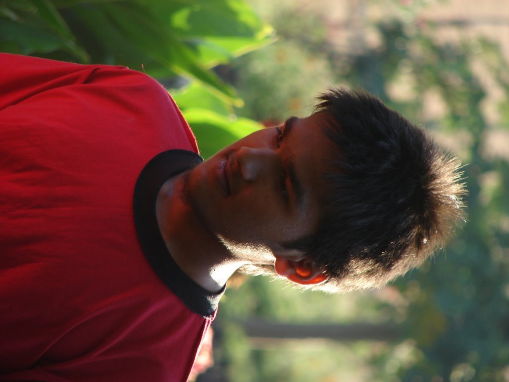 Picasa 3.0