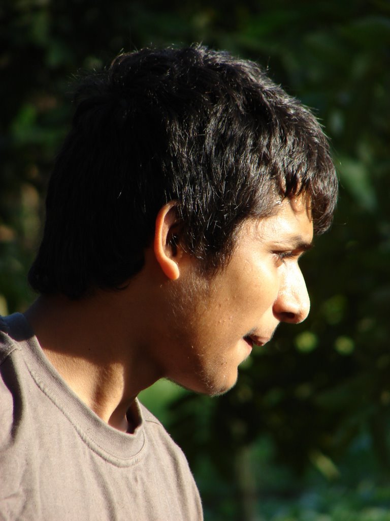 Picasa 3.0