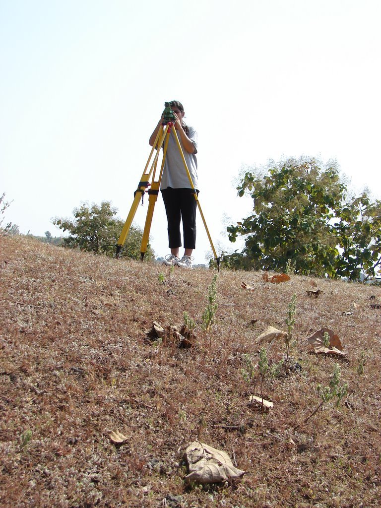 Picasa 3.0