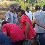 Previous image