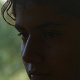Picasa 3.0