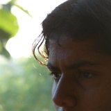Picasa 3.0