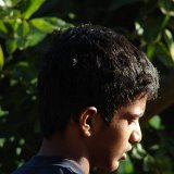 Picasa 3.0
