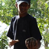 Picasa 3.0