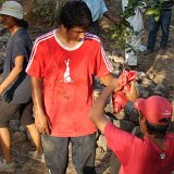 Picasa 3.0