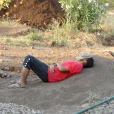Picasa 3.0