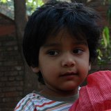 Picasa 3.0
