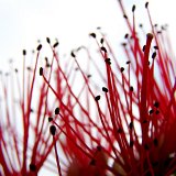 Picasa 3.0