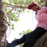 Picasa 3.0