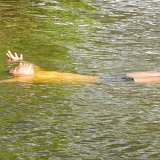 Previous image
