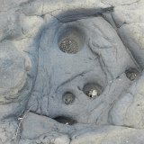 Previous image