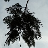 Next image