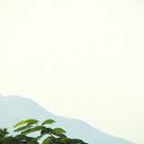 Previous image