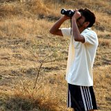 Picasa 2.6