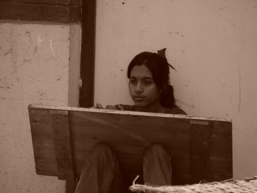 Picasa 2.7