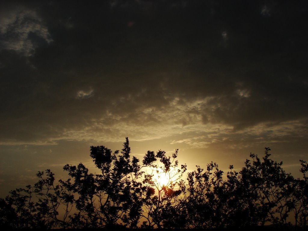 Picasa 2.7