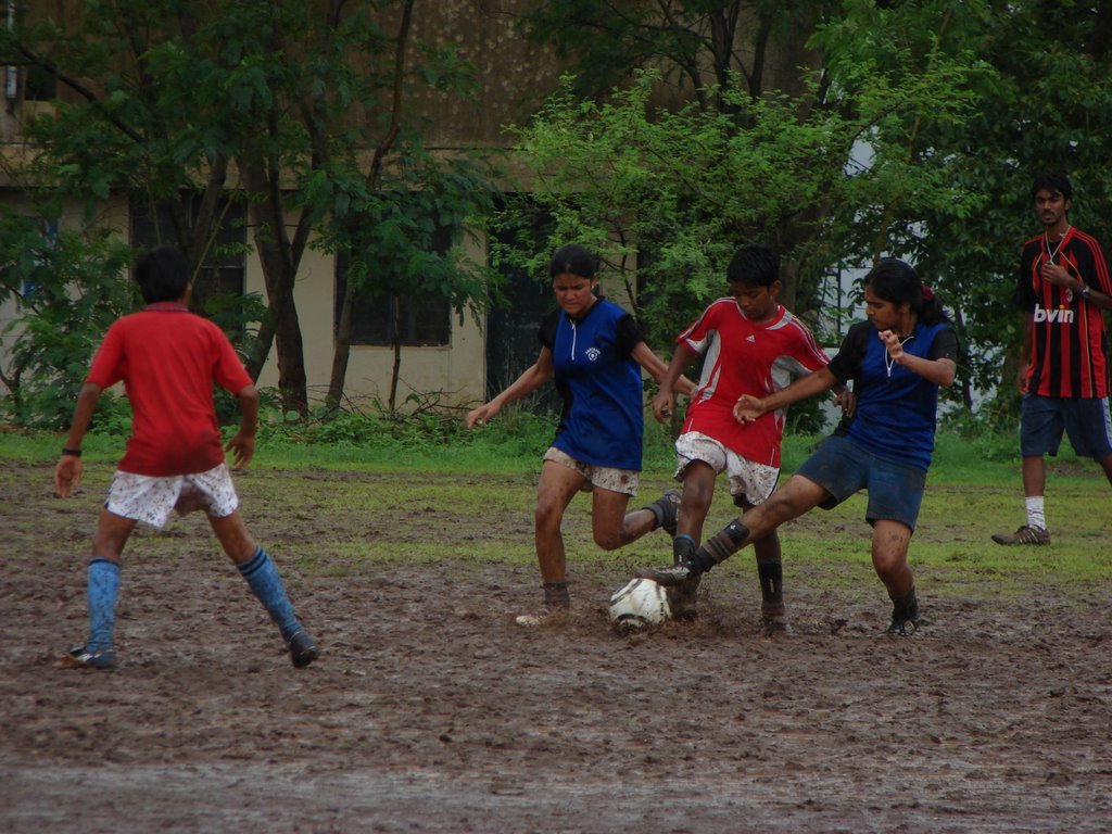 Picasa 2.7