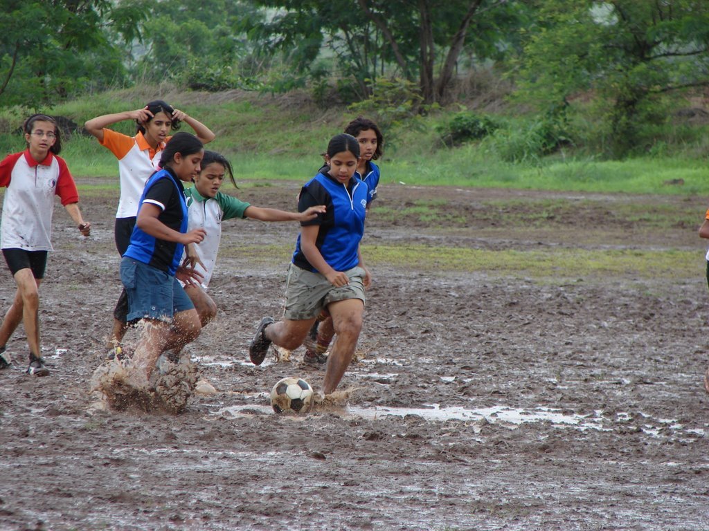 Picasa 2.7