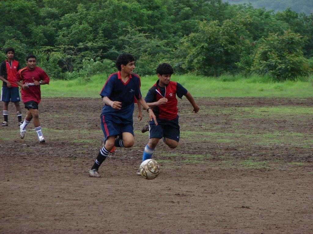 Picasa 2.7