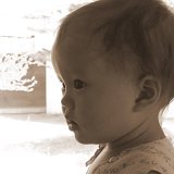 Picasa 2.6