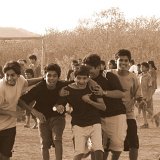 Picasa 2.6