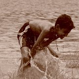 Picasa 2.6