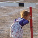 Picasa 2.7