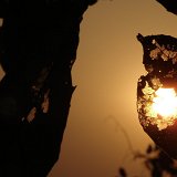 Picasa 2.7