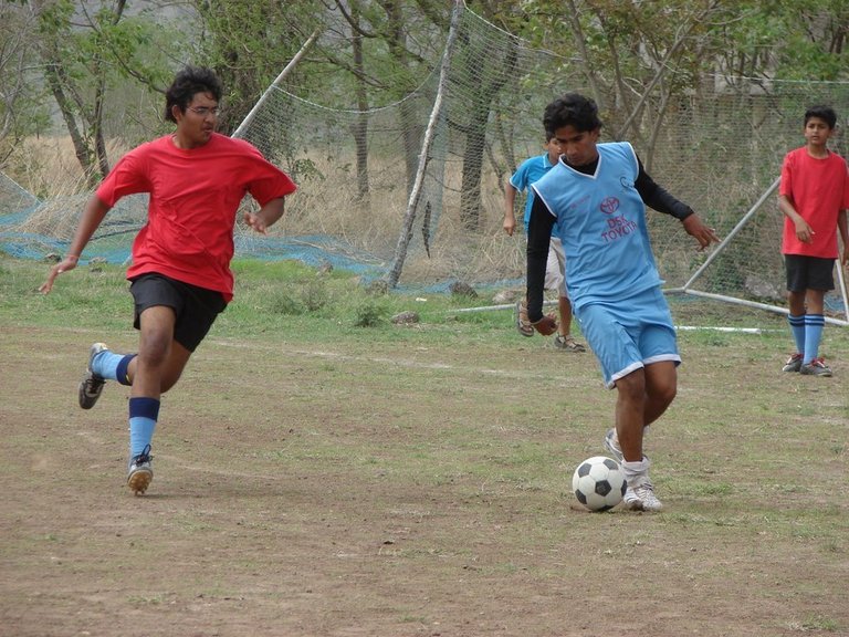 Picasa 2.7