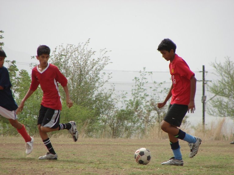 Picasa 2.7