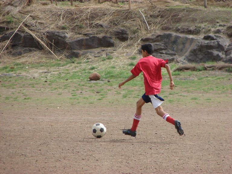 Picasa 2.7