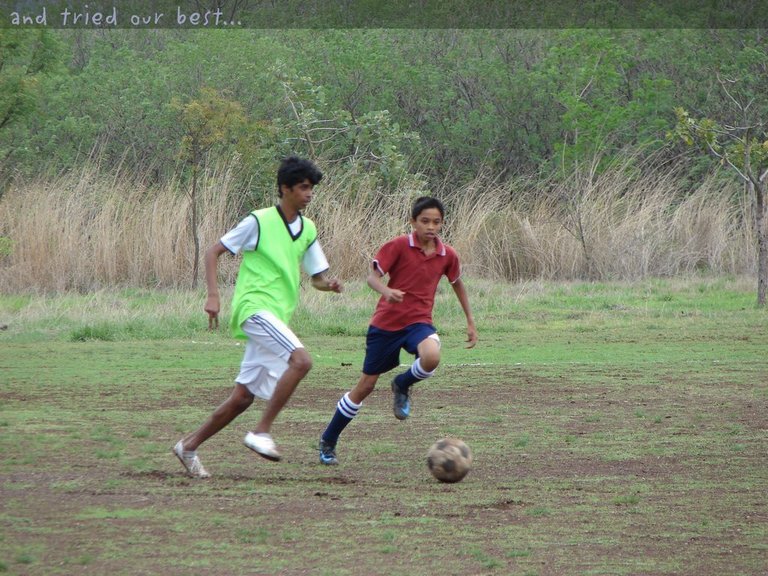 Picasa 2.7