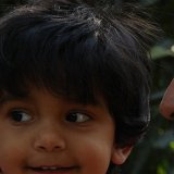 Previous image