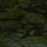 Next image