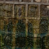 Previous image