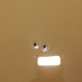 Next image