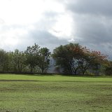 Next image