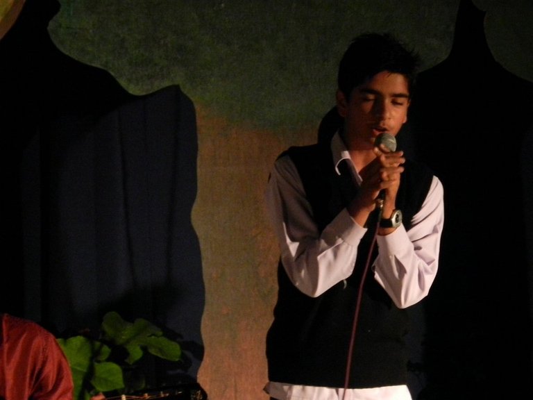 Picasa