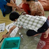 Previous image