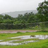 Previous image