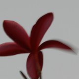 Previous image