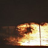 Previous image